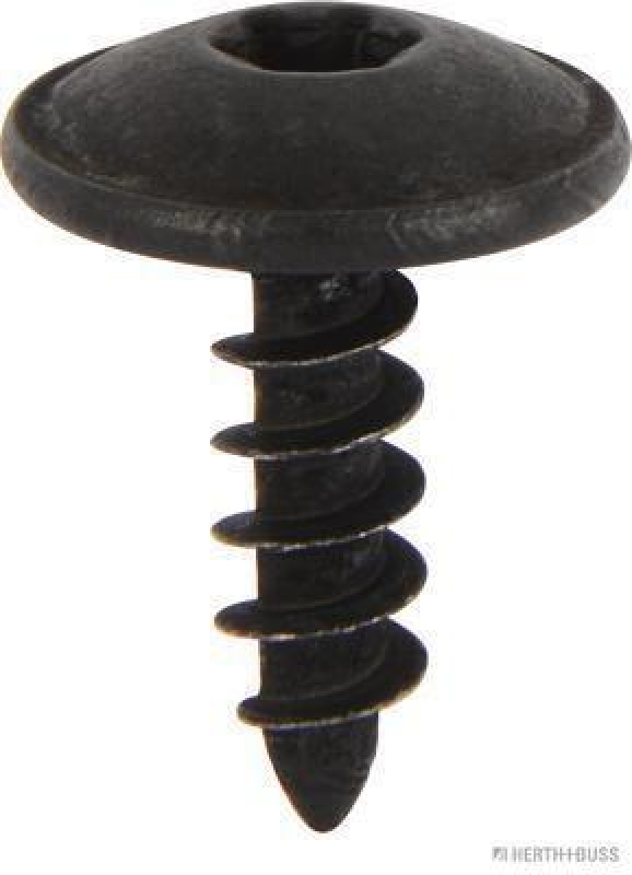 HERTH+BUSS ELPARTS Clip, Zier-/Schutzleiste