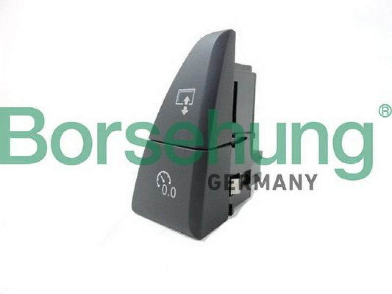 Borsehung Multi-Function Switch