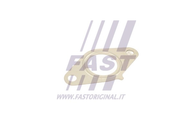 FAST Dichtung, AGR-Ventil