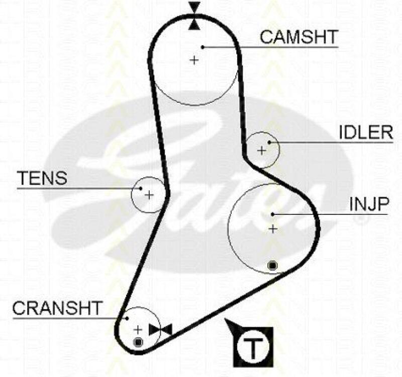TRISCAN Timing Belt