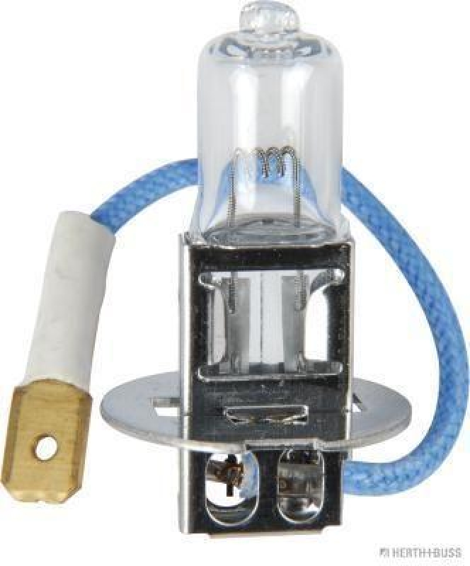 HERTH+BUSS ELPARTS Glühlampe, Arbeitsscheinwerfer