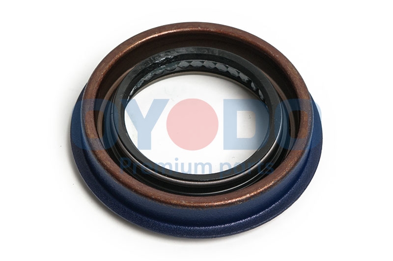 Oyodo Wellendichtring, Differential