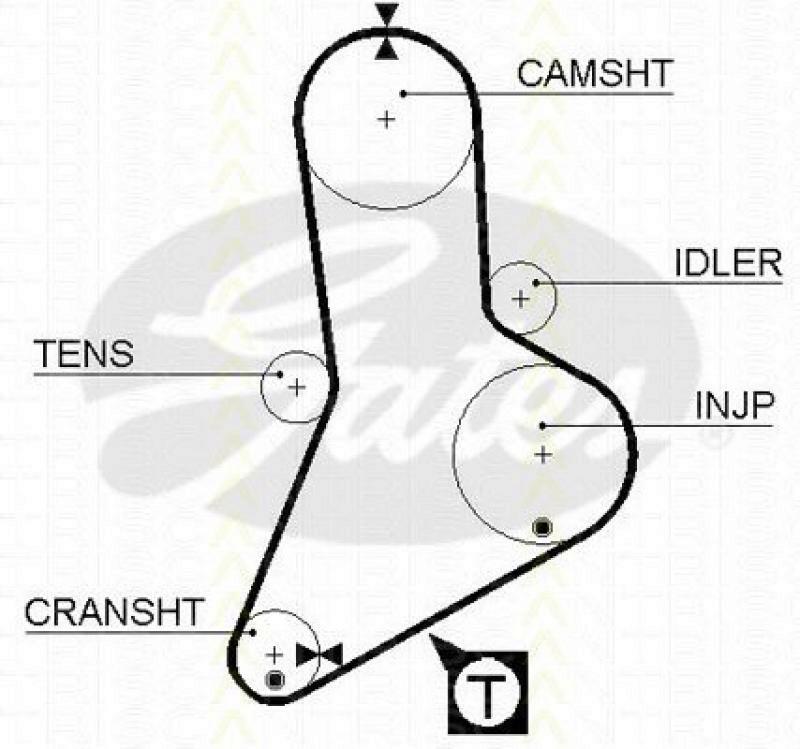 TRISCAN Timing Belt