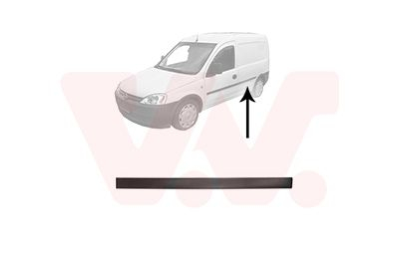 VAN WEZEL Trim/Protective Strip, door