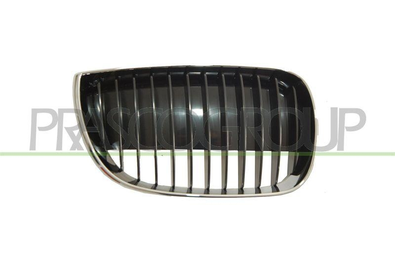 Radiator Grille