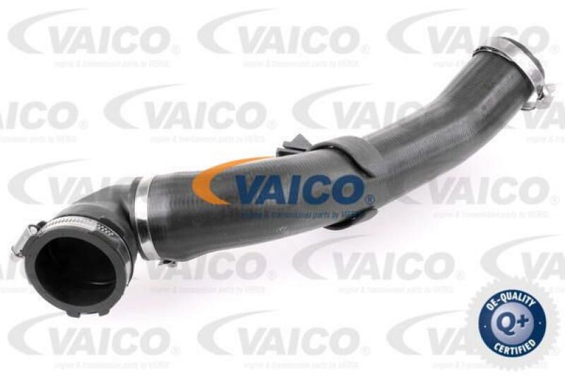 VAICO Charger Air Hose Q+, original equipment manufacturer quality