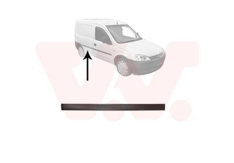 VAN WEZEL Trim/Protective Strip, door