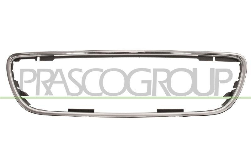 Trim/Protective Strip, radiator grille