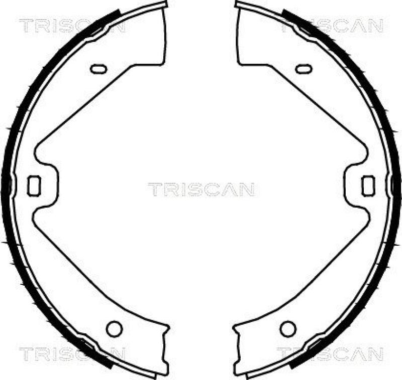 TRISCAN Brake Shoe Set, parking brake