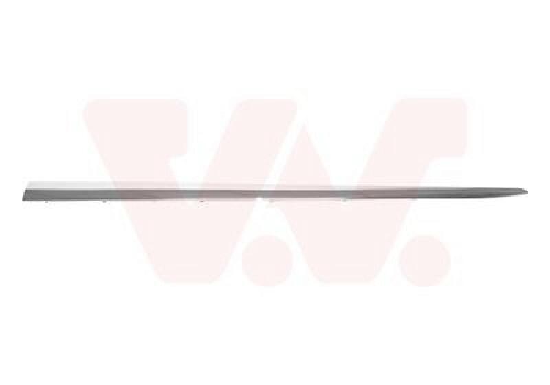 VAN WEZEL Trim/Protective Strip, door