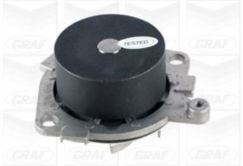 GRAF Water Pump, engine cooling