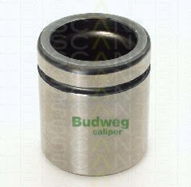 TRISCAN Piston, brake caliper