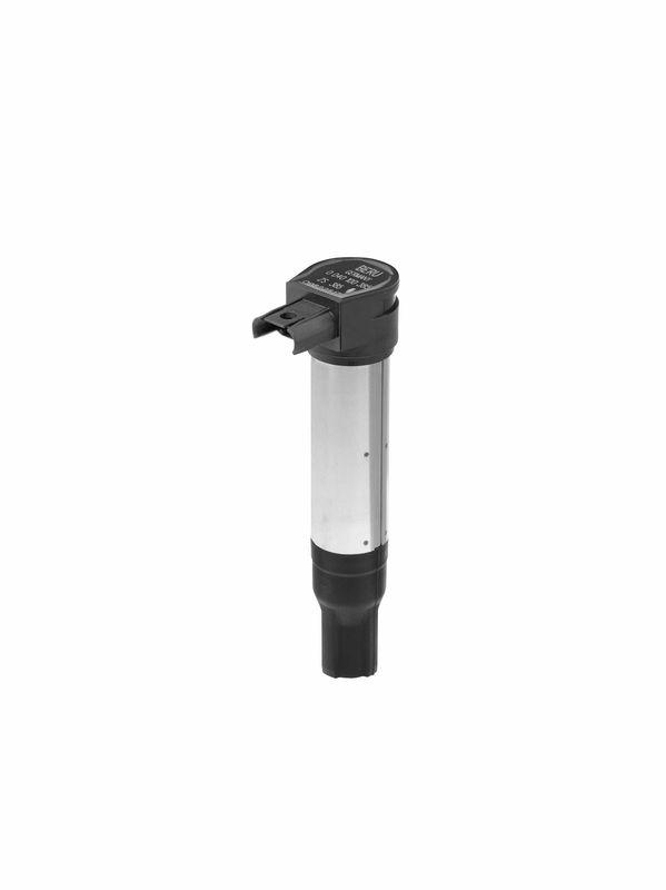 BorgWarner (BERU) Ignition Coil