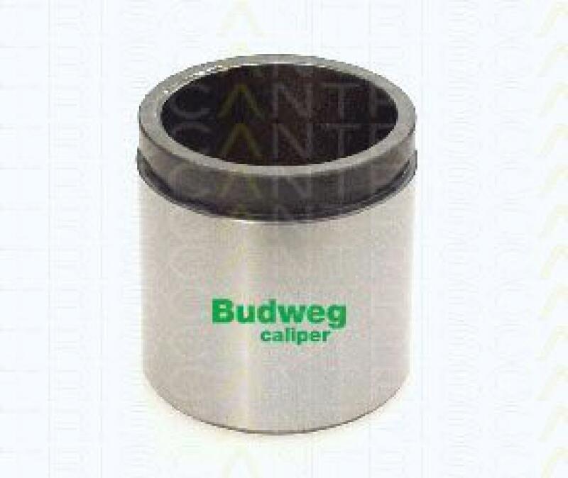 Keilrippenriemensatz SKF WW3716879 online kaufen | Lott Autoteile
