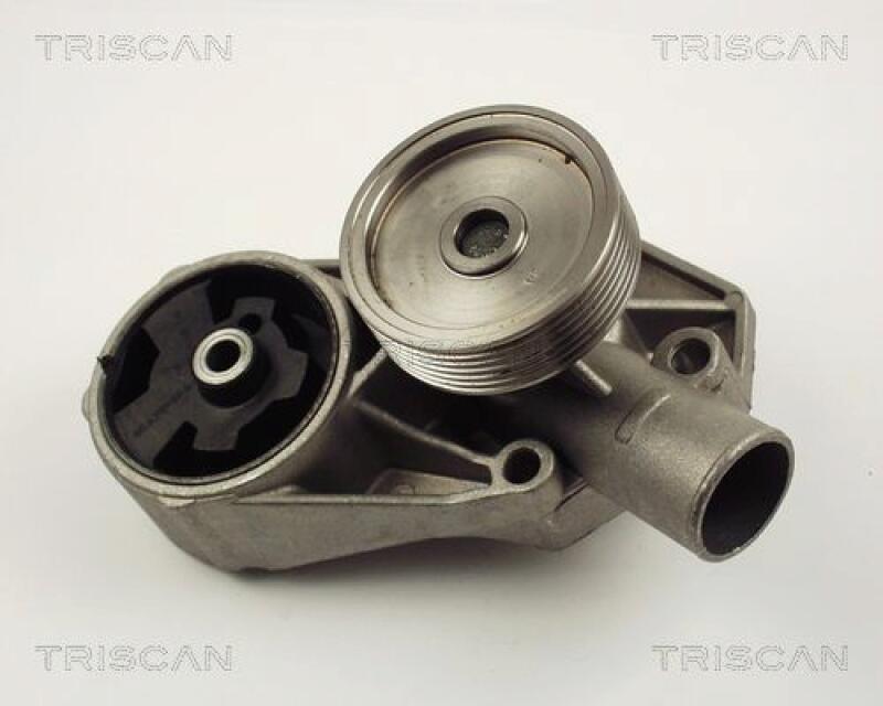 TRISCAN Wasserpumpe 8600 67002