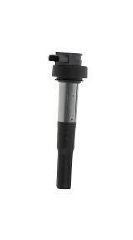 BorgWarner (BERU) Zündspule ZS386
