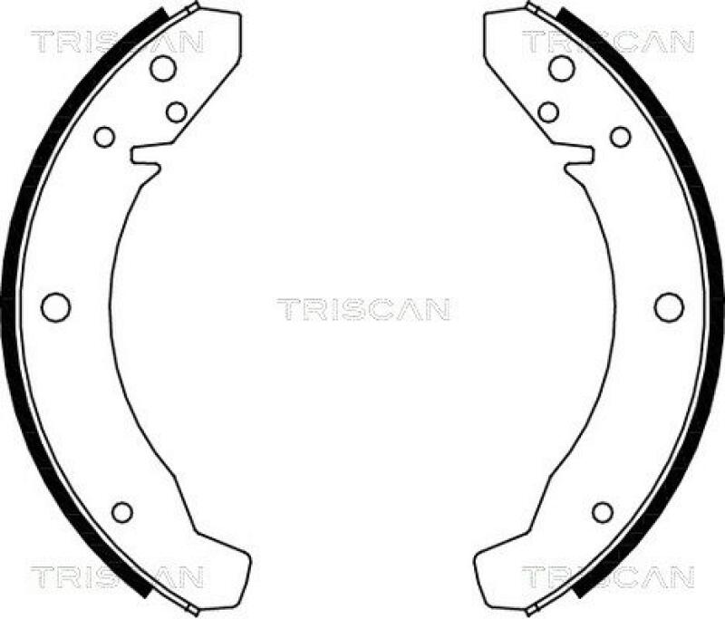 TRISCAN Brake Shoe Set