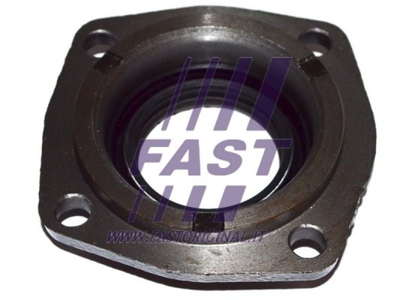 FAST Wellendichtring, Differential