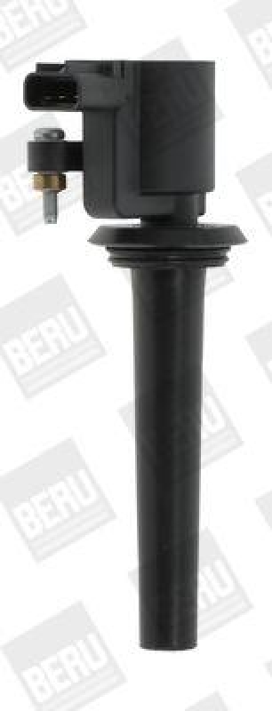 BorgWarner (BERU) Ignition Coil