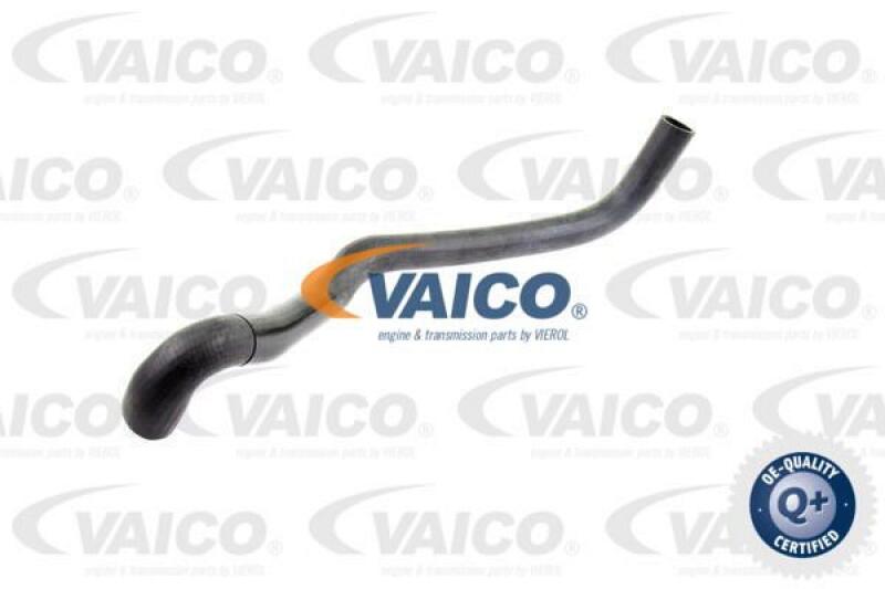 VAICO Radiator Hose Q+, original equipment manufacturer quality