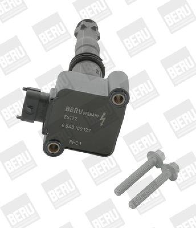 BorgWarner (BERU) Ignition Coil