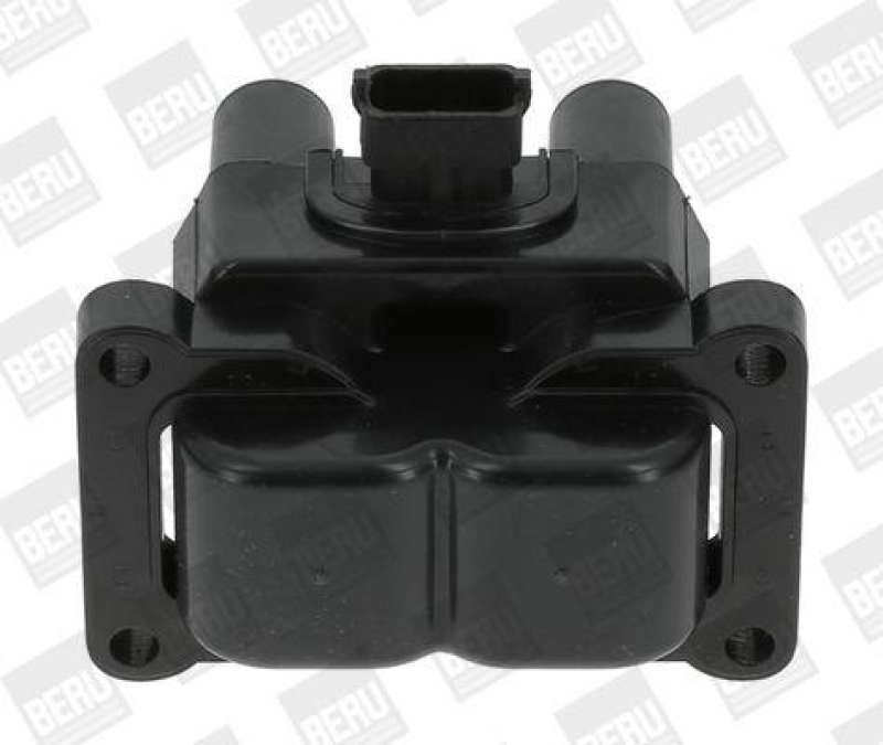 BorgWarner (BERU) Ignition Coil