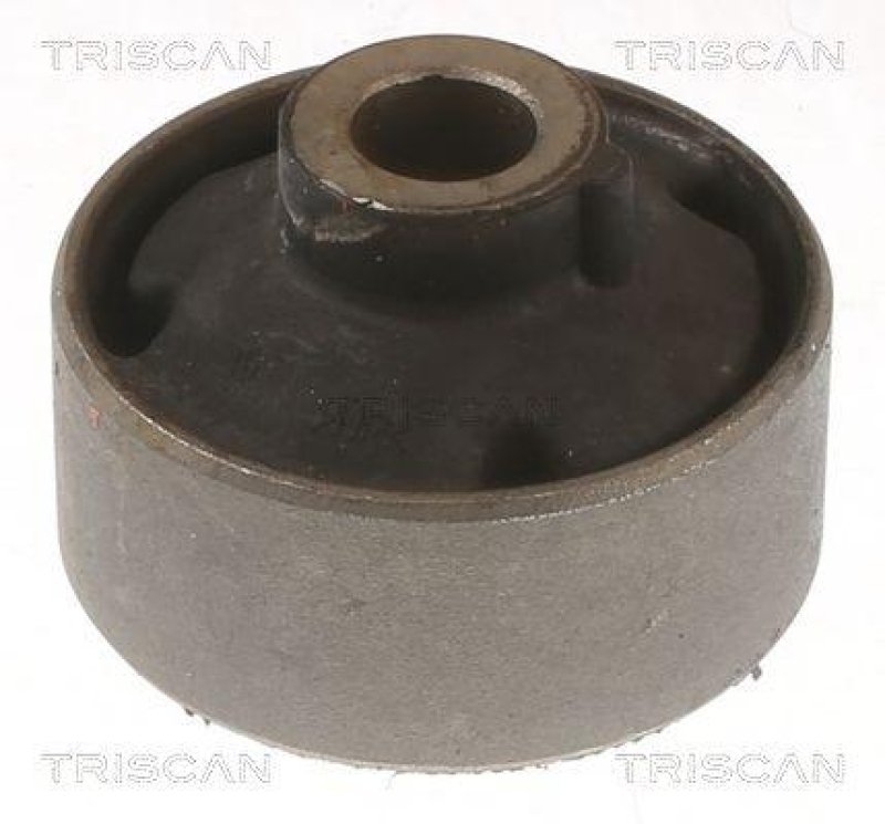 TRISCAN Mounting, control/trailing arm