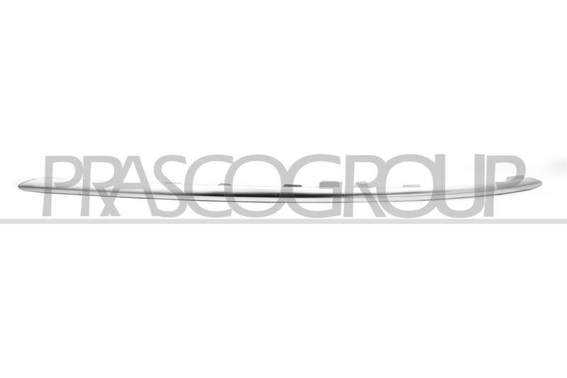Trim/Protective Strip, radiator grille