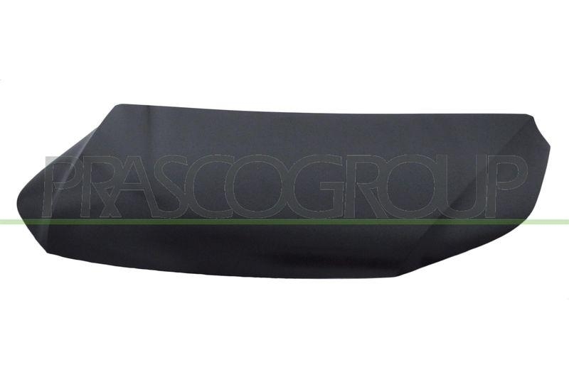Bonnet