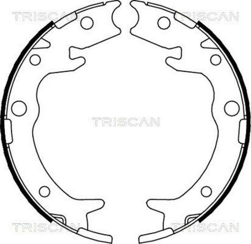 TRISCAN Brake Shoe Set, parking brake