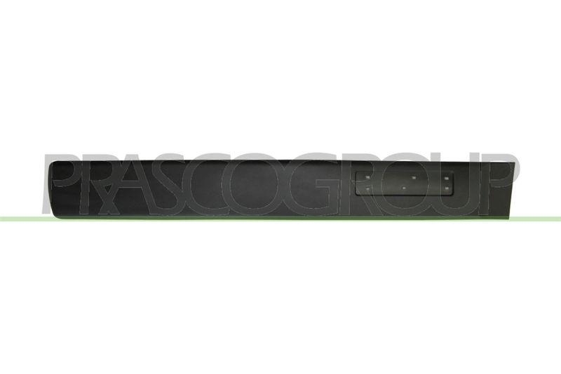 Trim/Protective Strip, door
