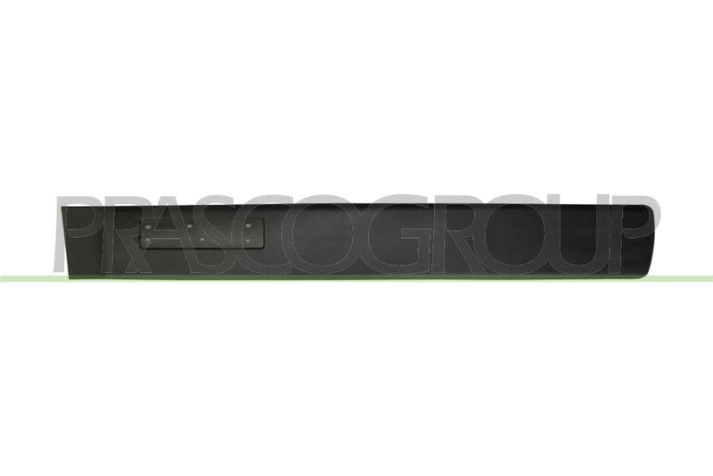 Trim/Protective Strip, door