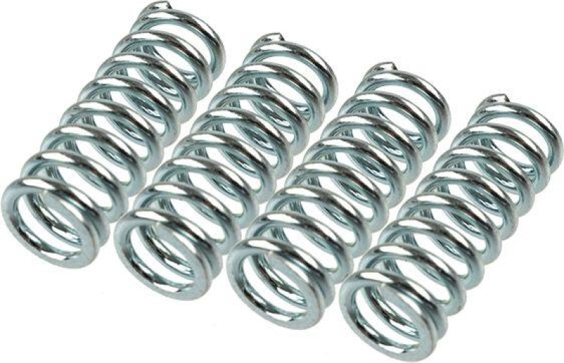 TRW Clutch Spring Set
