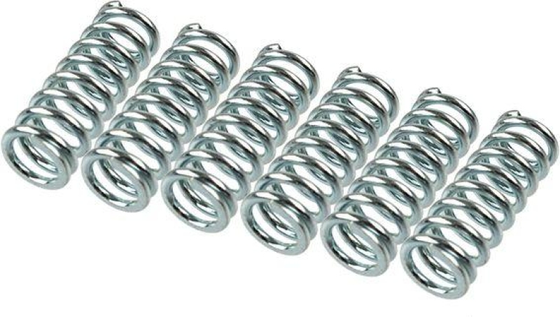 TRW Kupplungsfedernsatz MEF145-6