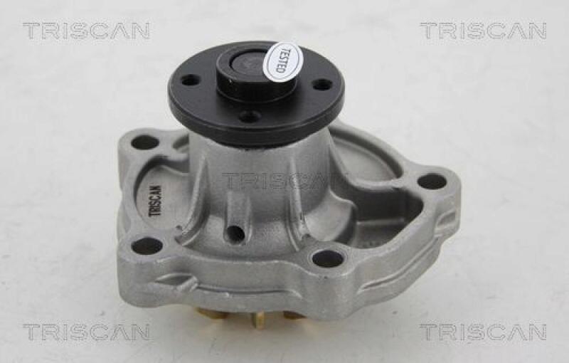 TRISCAN Water Pump