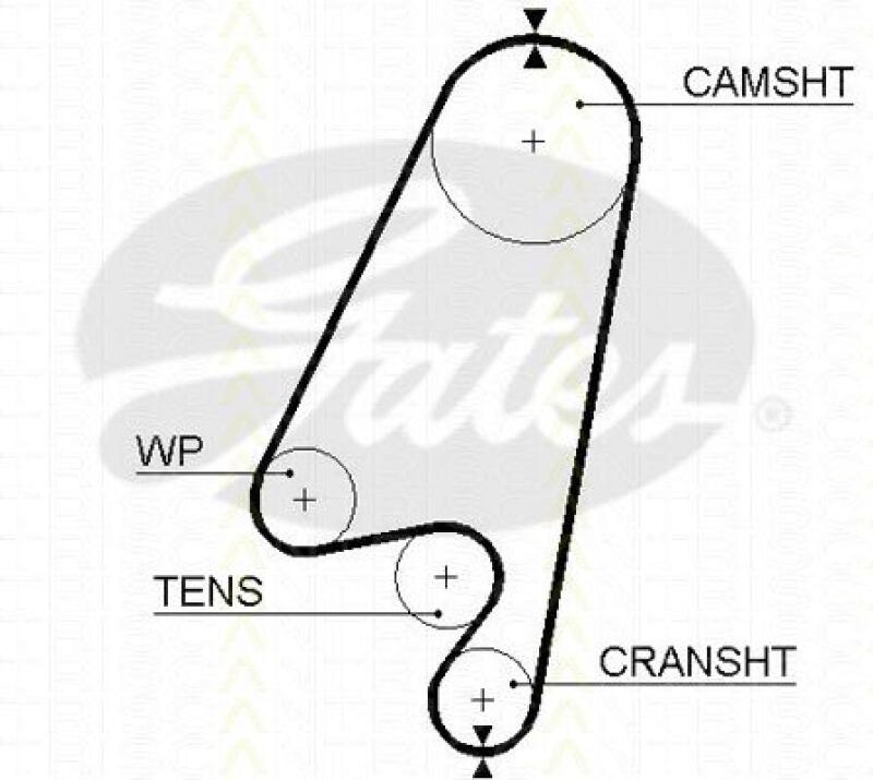 TRISCAN Timing Belt