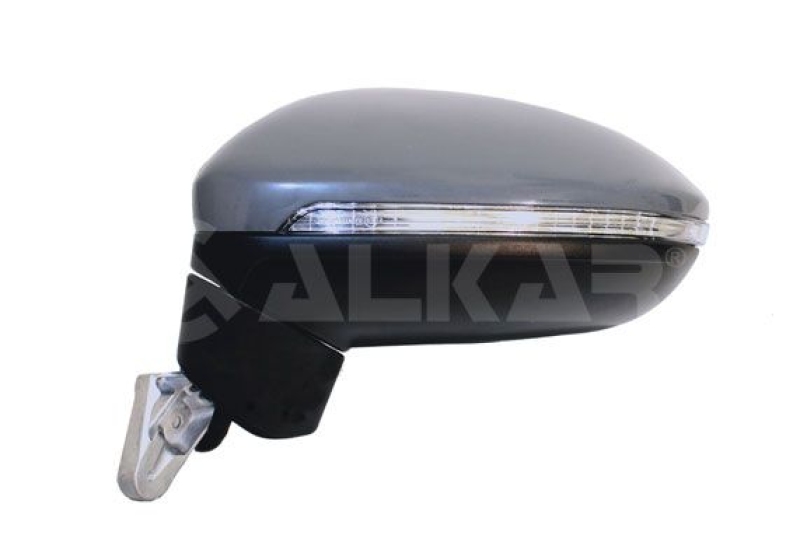 Exterior Mirror