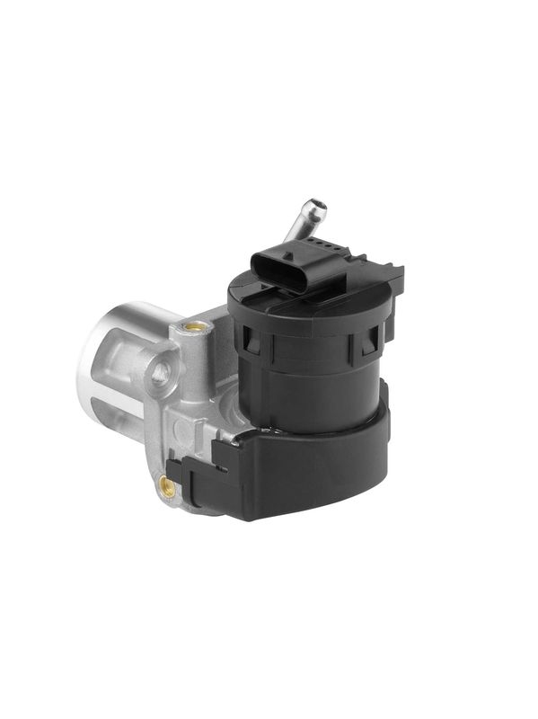 BorgWarner (Wahler) AGR-Ventil