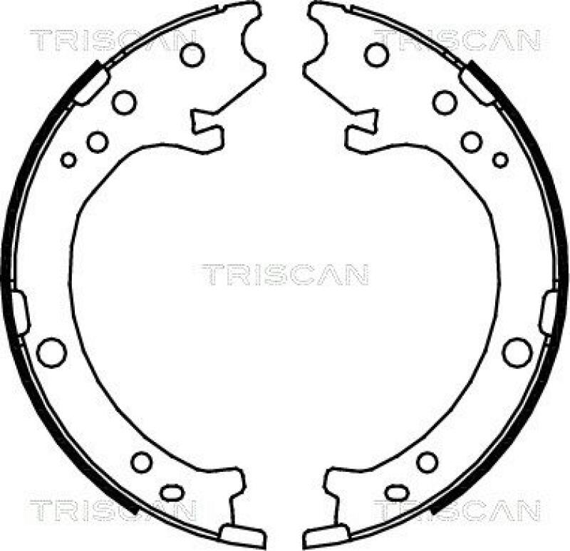 TRISCAN Brake Shoe Set, parking brake