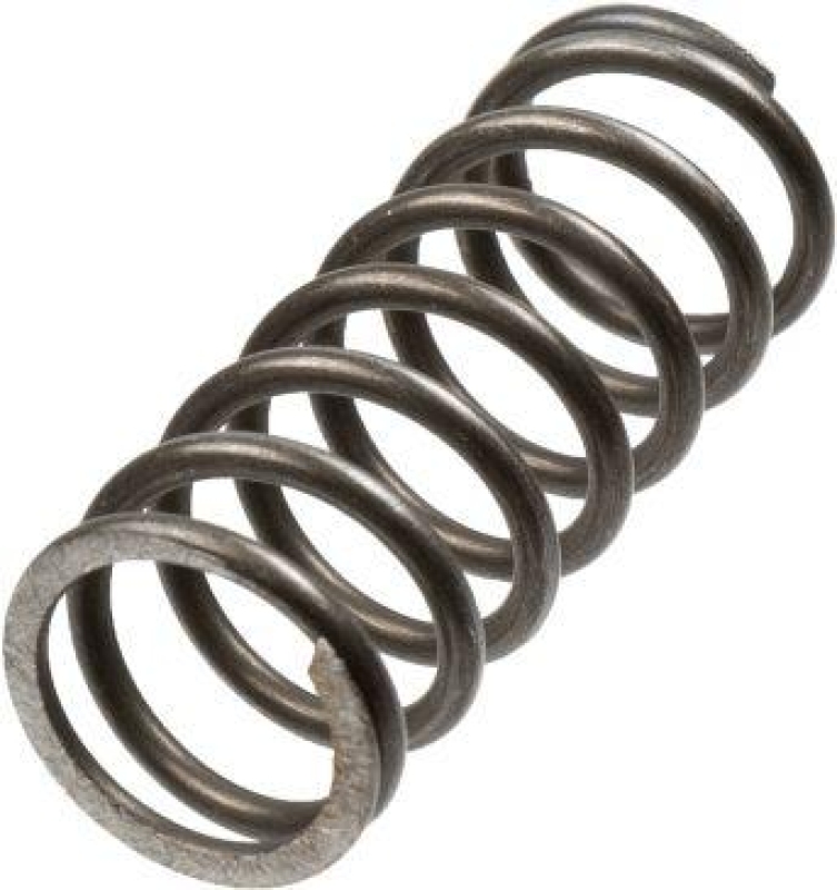 TRW Clutch Spring Set