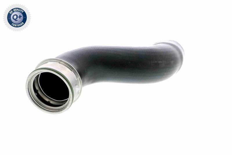 VAICO Charger Air Hose Q+, original equipment manufacturer quality