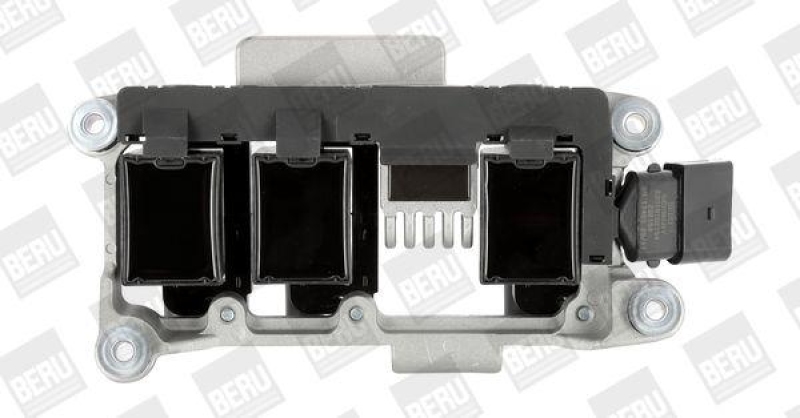 BorgWarner (BERU) Ignition Coil