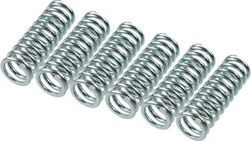 TRW Clutch Spring Set