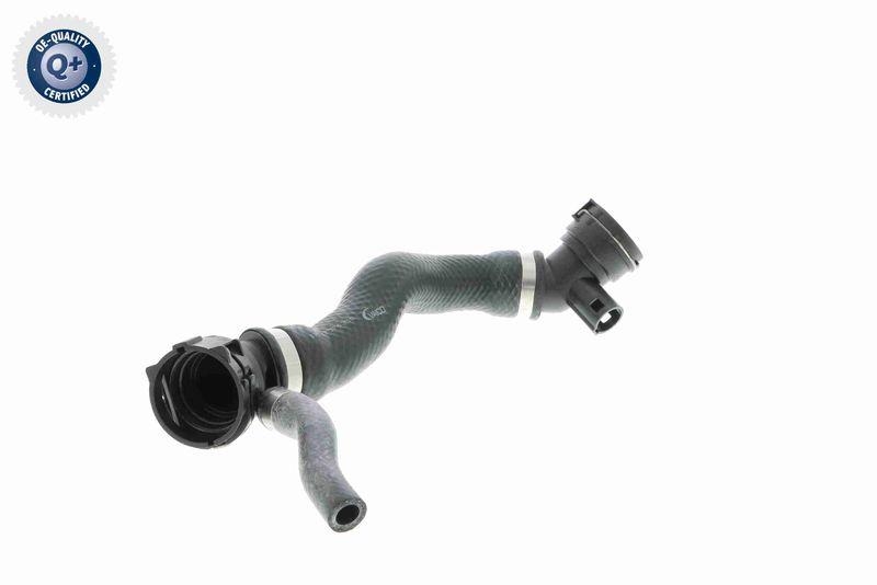 VAICO Radiator Hose