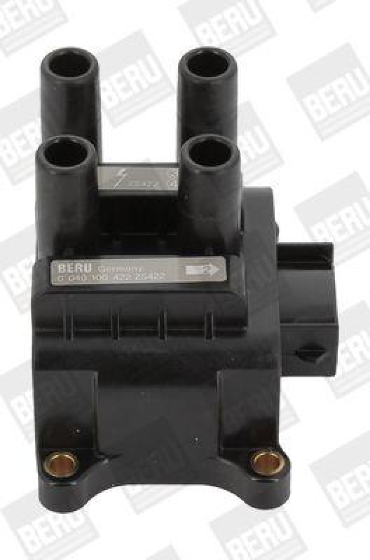 BorgWarner (BERU) Ignition Coil