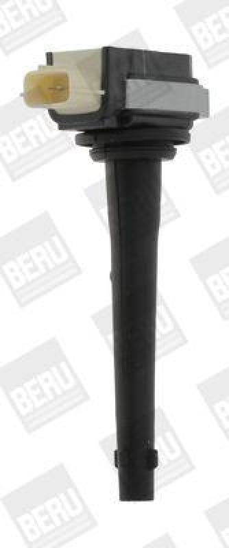 BorgWarner (BERU) Ignition Coil