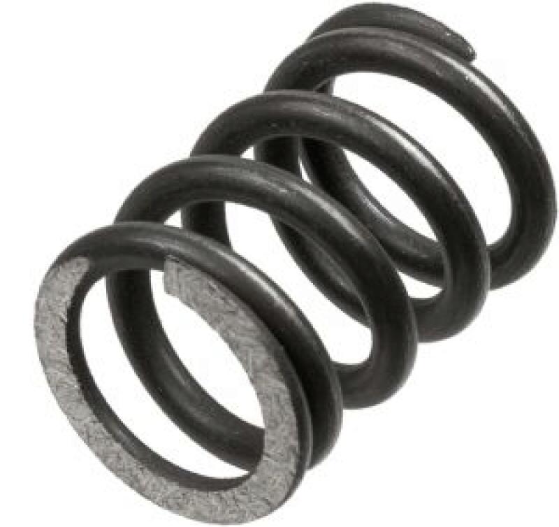 TRW Clutch Spring Set