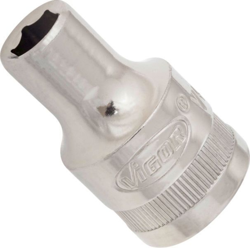 VIGOR Socket
