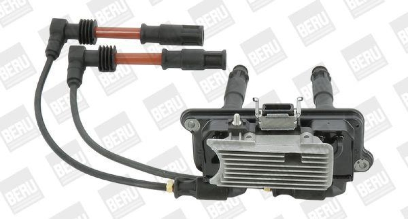 BorgWarner (BERU) Ignition Coil