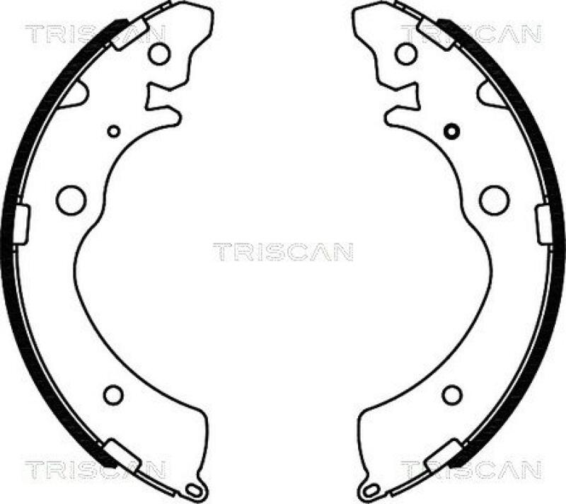 TRISCAN Brake Shoe Set